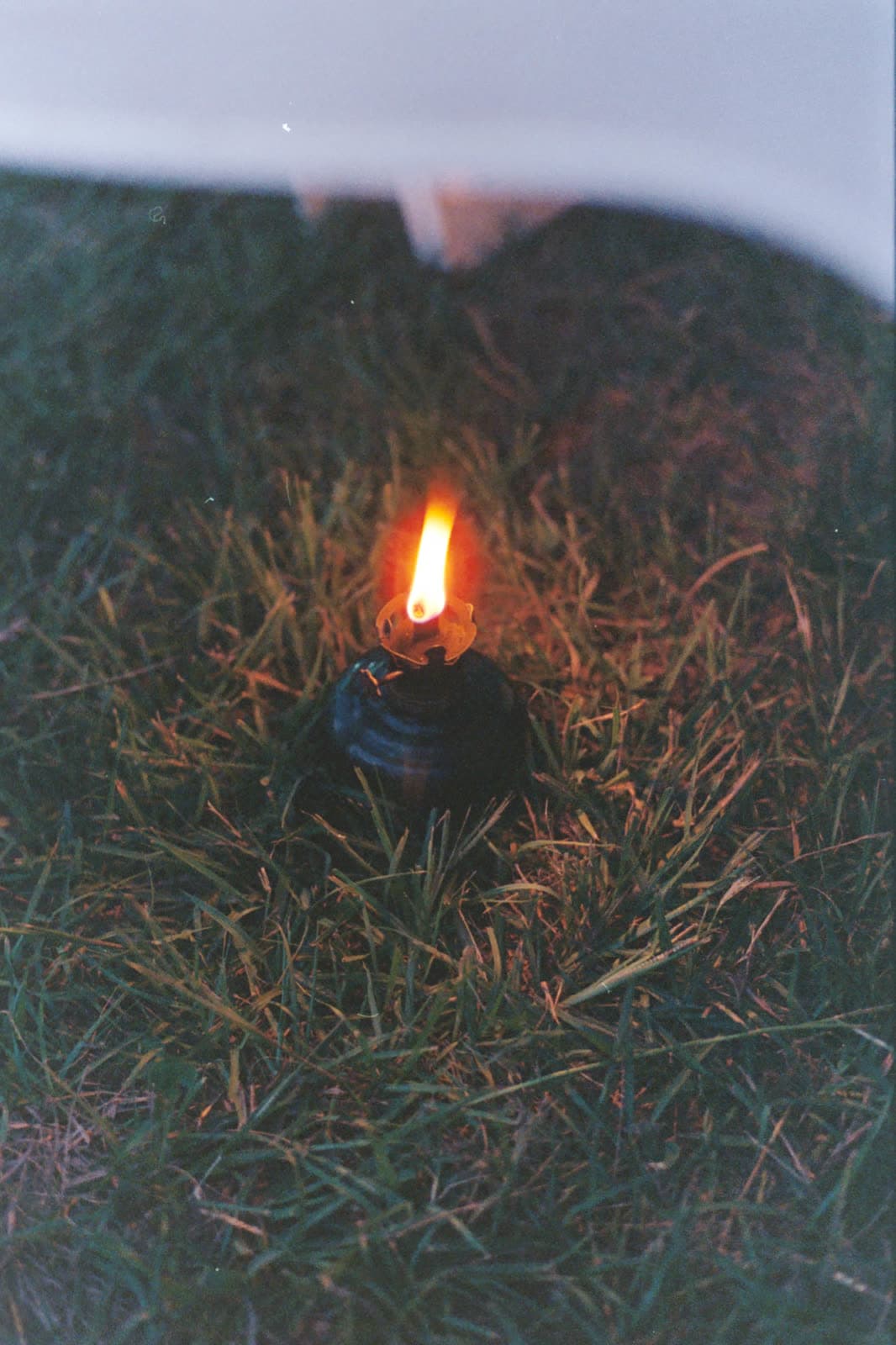 Cinestill 800T — foto 08.jpg