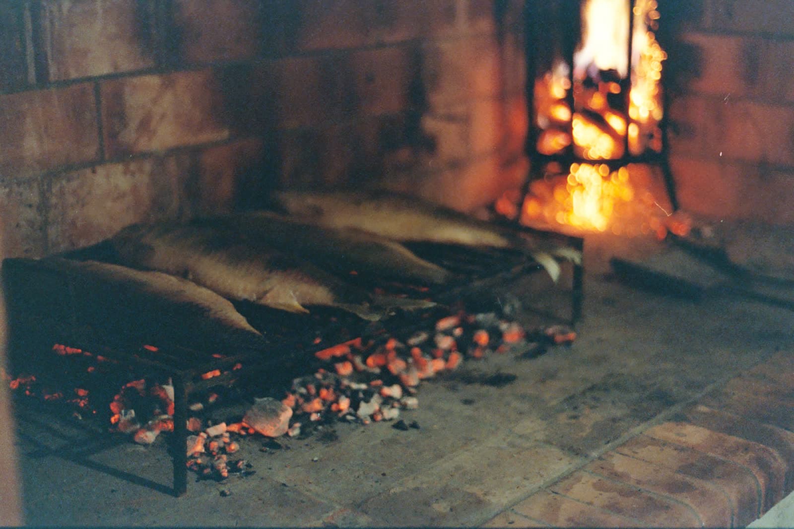 Cinestill 800T — foto 10.jpg