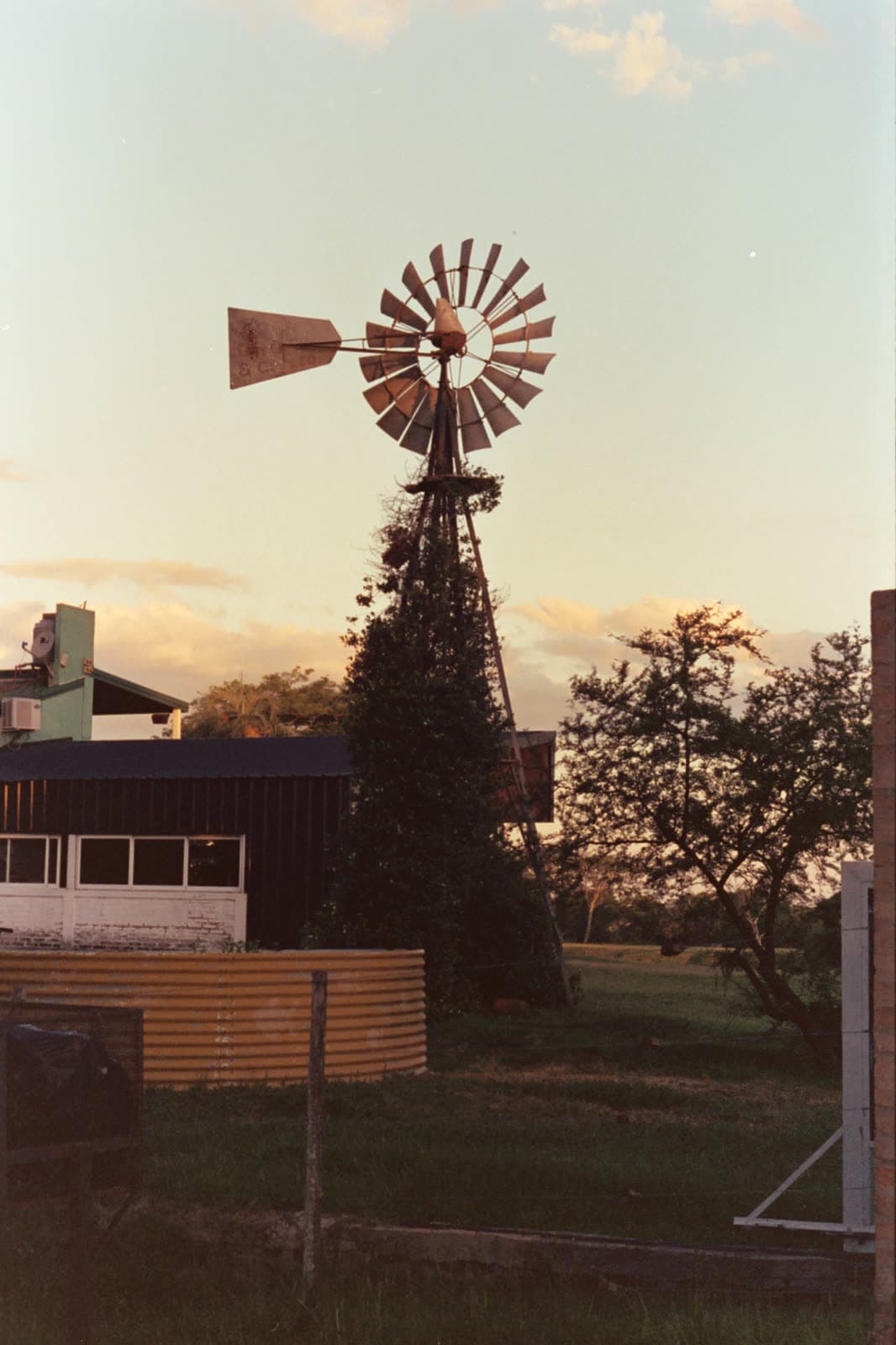 Cinestill 800T — foto 18.jpg