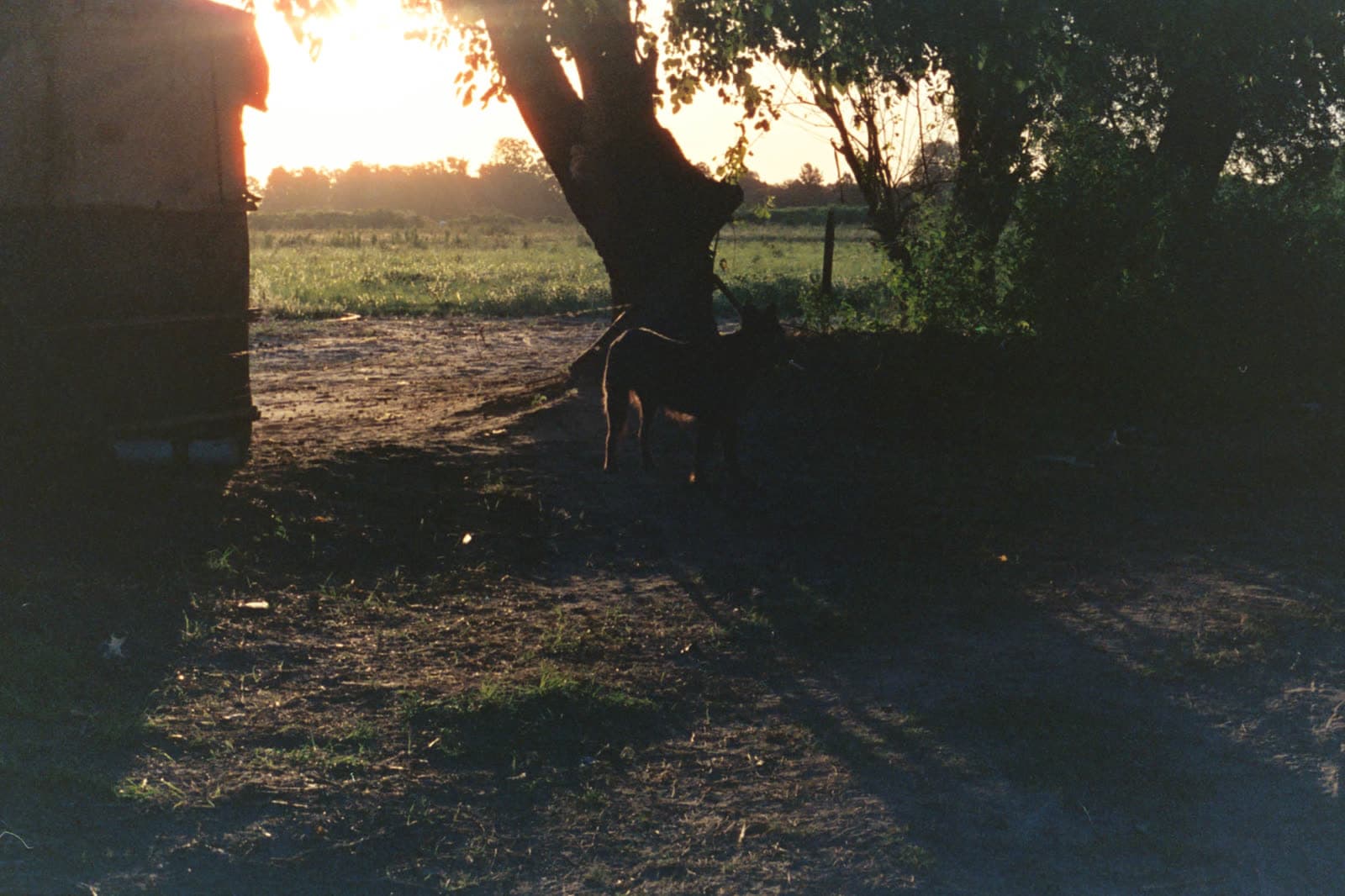 Cinestill 800T — foto 20.jpg