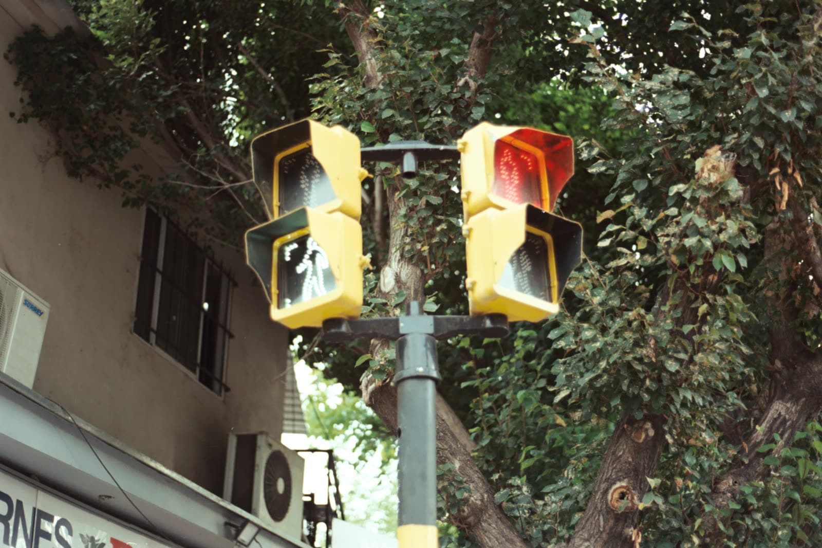 Fuji 200 — foto 34.jpg