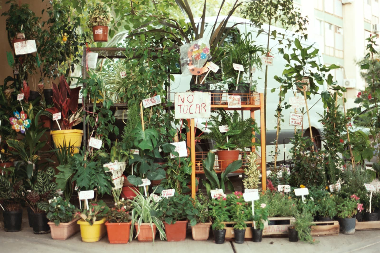 Fuji 200 — foto 35.jpg