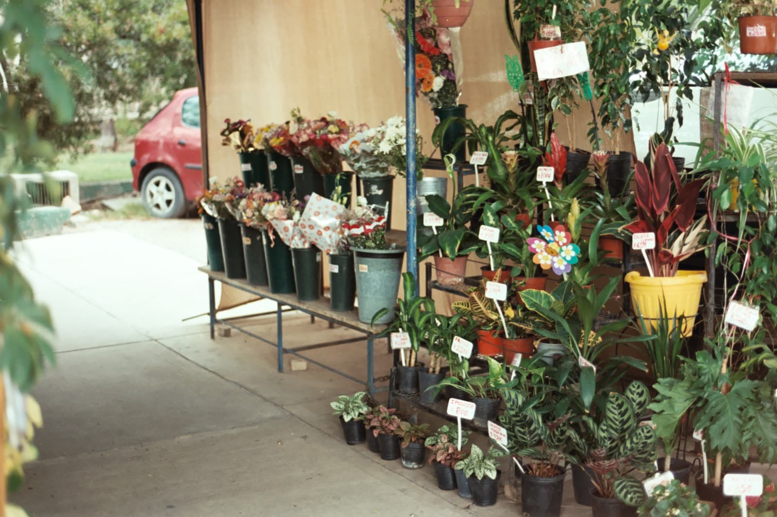 Fuji 200 — foto 36.jpg