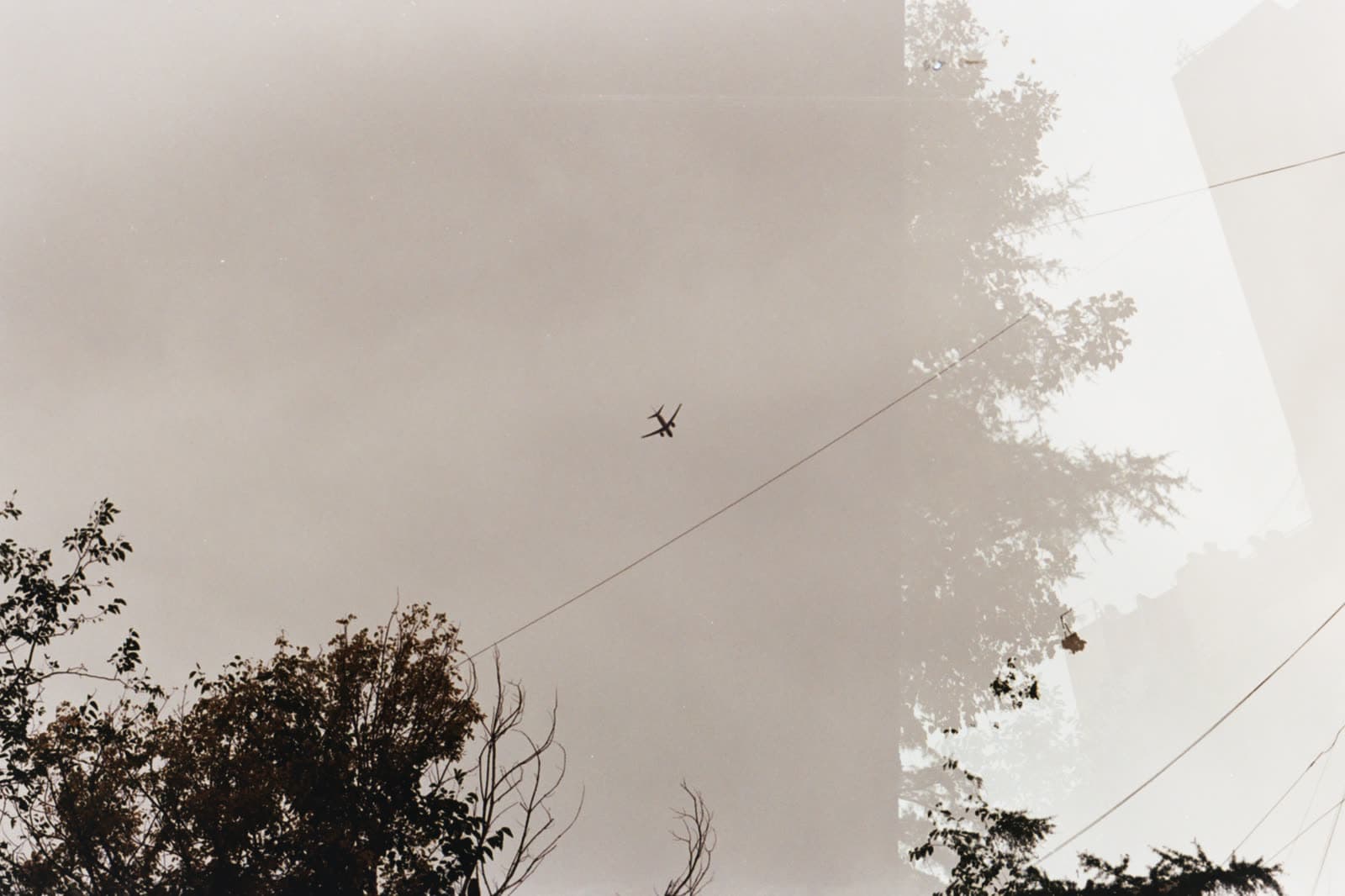 Kodak Vision3 250D — foto 02.jpg