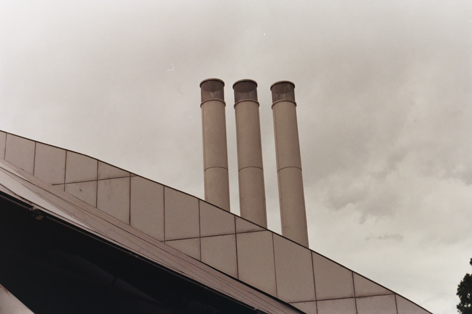 Kodak Vision3 250D — foto 20.jpg