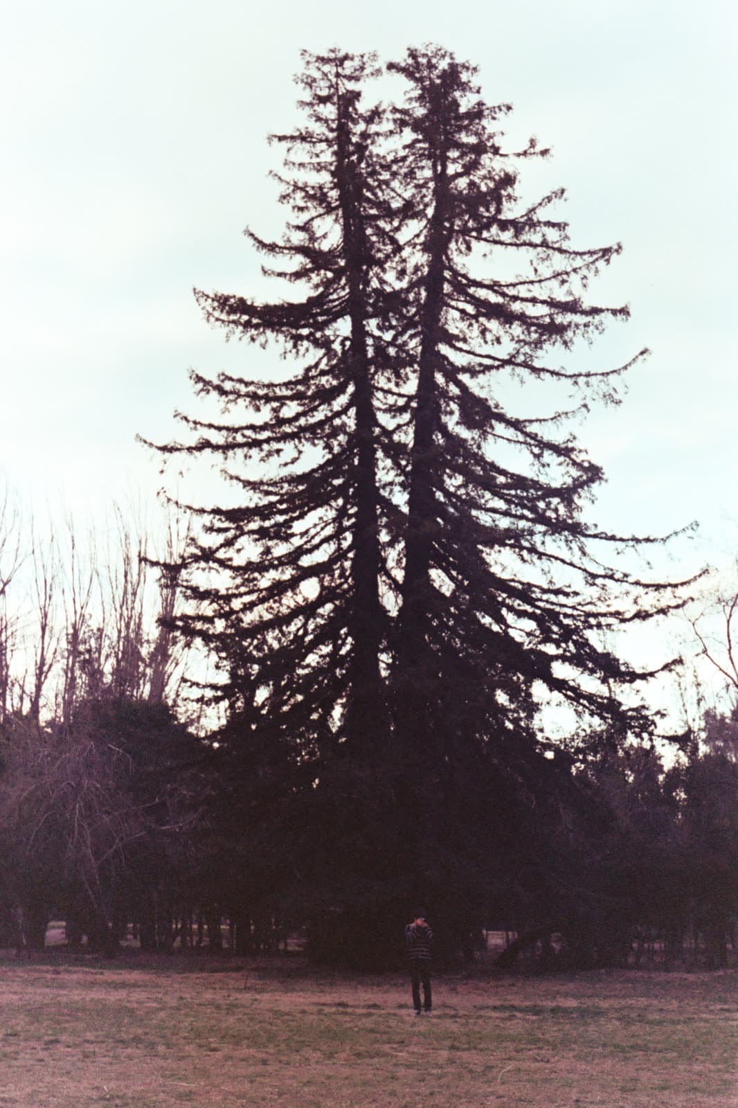Samsung Prime Color 100 — foto 06.jpg